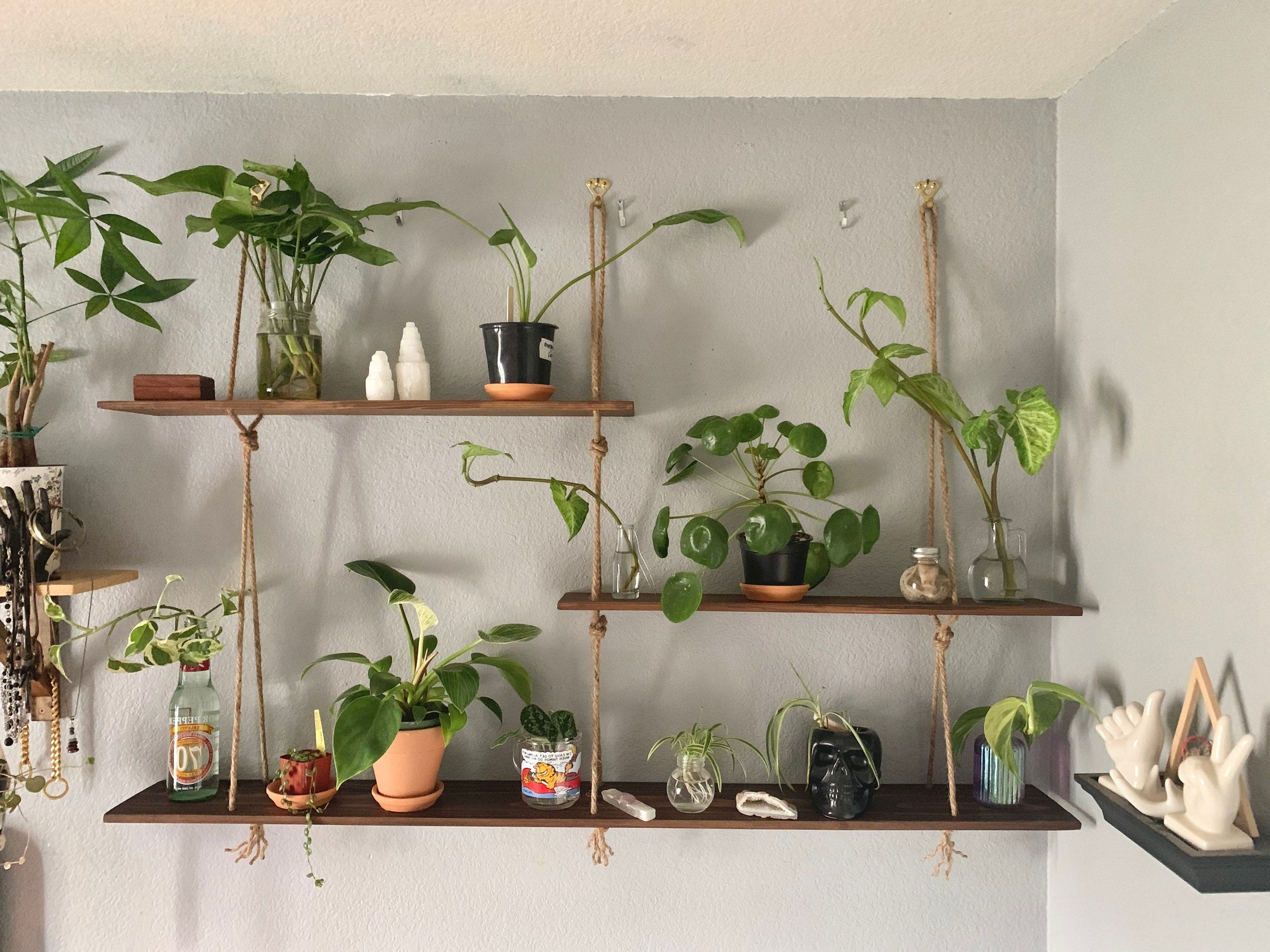 étagère murale avec plantes